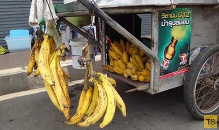 Фотография: Топ 10: Самые редкие и необычные виды бананов №4 - BigPicture.ru