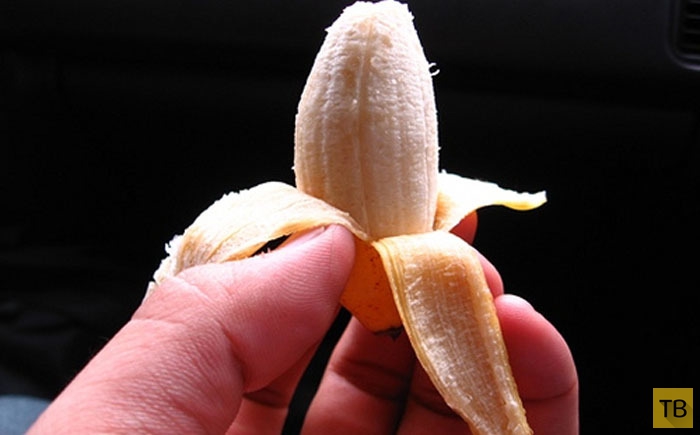 Фотография: Топ 10: Самые редкие и необычные виды бананов №5 - BigPicture.ru