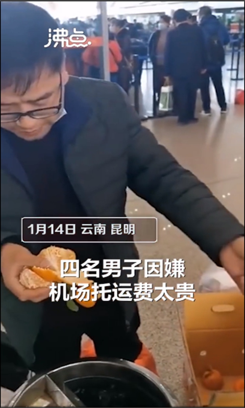 Фотография: Цитрусовое безумие: четверо китайцев из-за жадности съели сразу 30 кг апельсинов №4 - BigPicture.ru