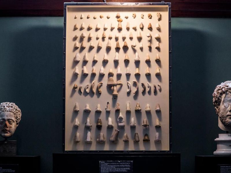 Фотография: Как в датском музее появилась единственная мире коллекция античных носов №2 - BigPicture.ru