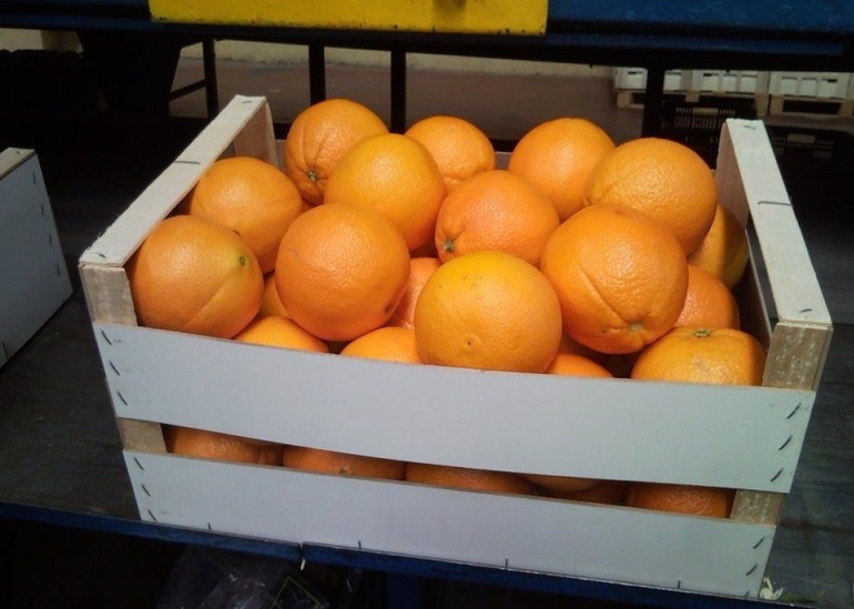 Фотография: Цитрусовое безумие: четверо китайцев из-за жадности съели сразу 30 кг апельсинов №3 - BigPicture.ru