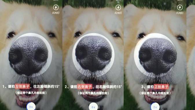 Фотография: У собак в Китае появятся паспорта с отпечатками носа №2 - BigPicture.ru
