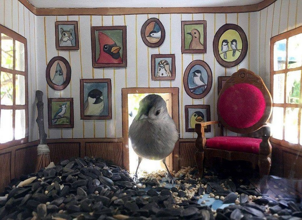 Фотография: Художница делает милые домики для птиц №1 - BigPicture.ru