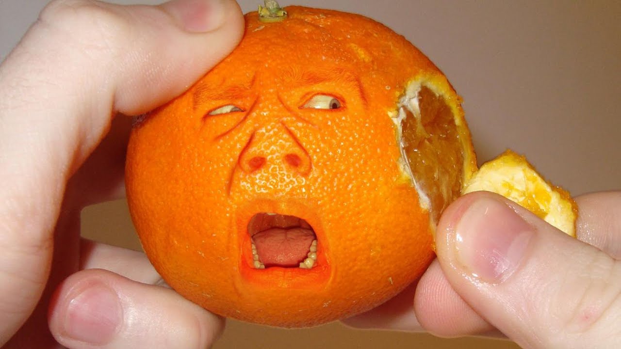 Фотография: Цитрусовое безумие: четверо китайцев из-за жадности съели сразу 30 кг апельсинов №1 - BigPicture.ru