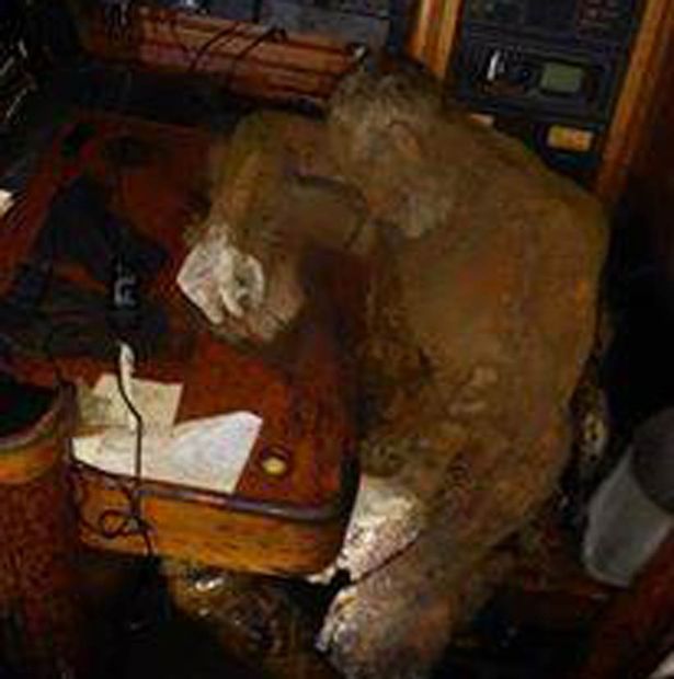 Фотография: История Манфреда Фрица Байората, моряка, который стал мумией на корабле-призраке №15 - BigPicture.ru