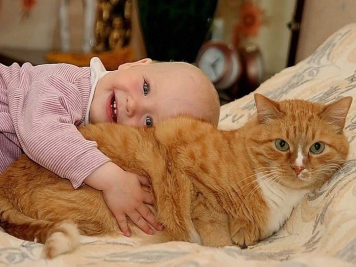Фотография: 7 верных способов настроить против себя любую кошку №8 - BigPicture.ru