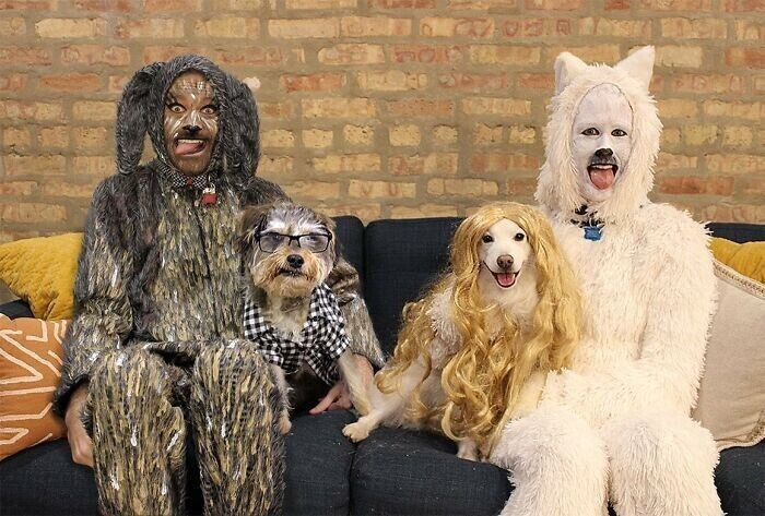 смешные семейные фото с собаками