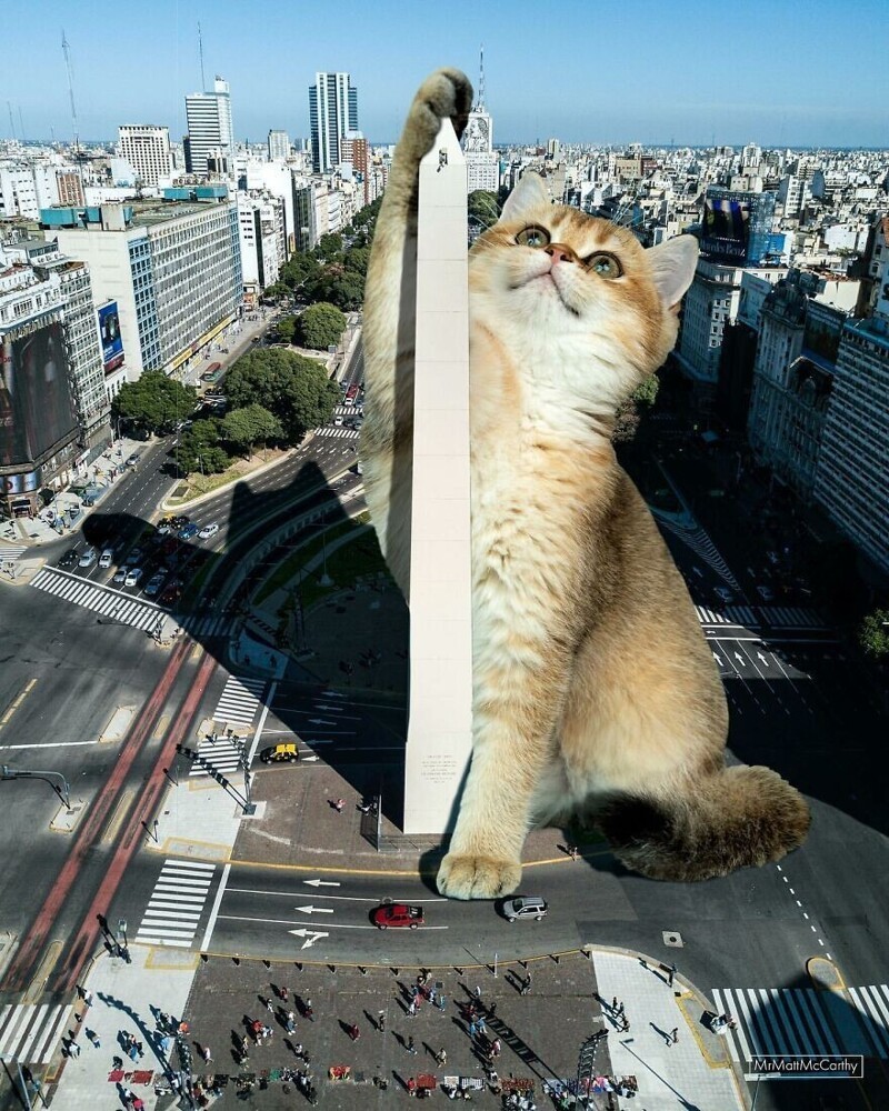 Фотография: Мастер фотошопа показал, каким станет мир, если его захватят коты №3 - BigPicture.ru