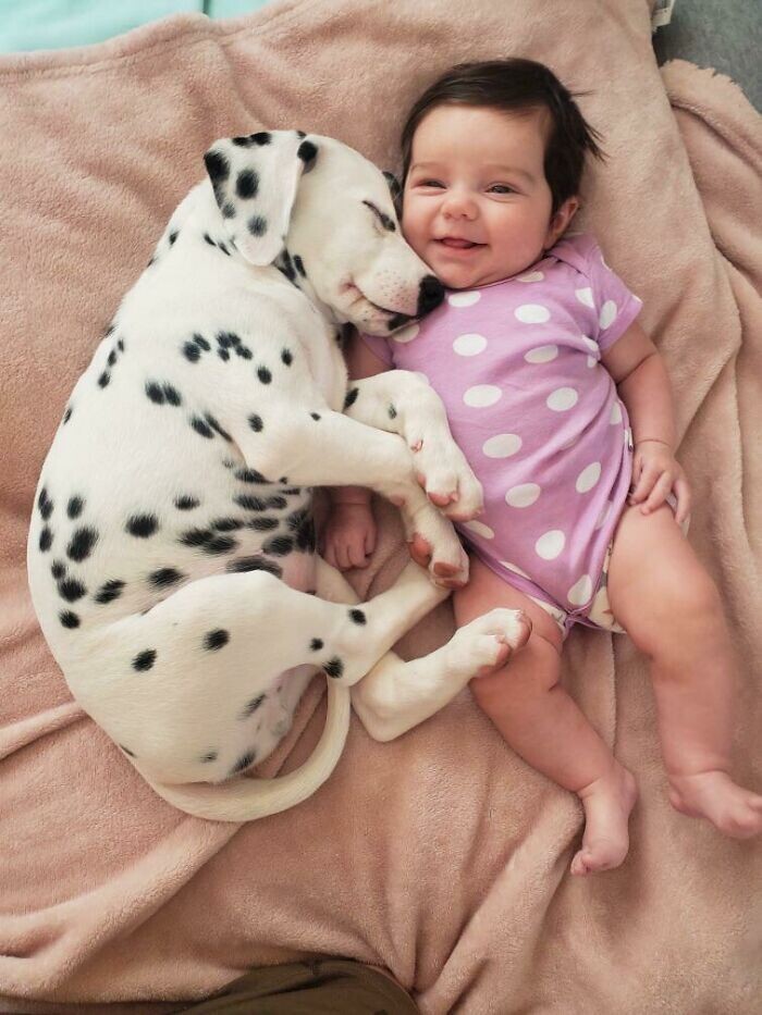 Фотография: 35 трогательных доказательств того, что собака — лучший друг для ребенка №21 - BigPicture.ru