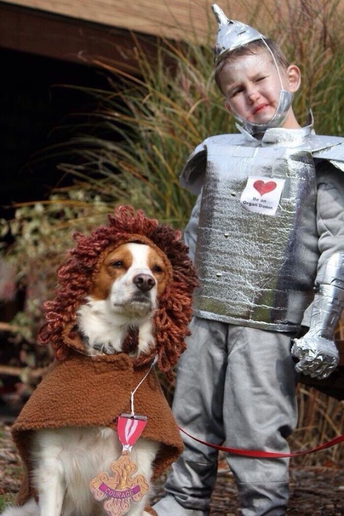 Фотография: 35 трогательных доказательств того, что собака — лучший друг для ребенка №17 - BigPicture.ru