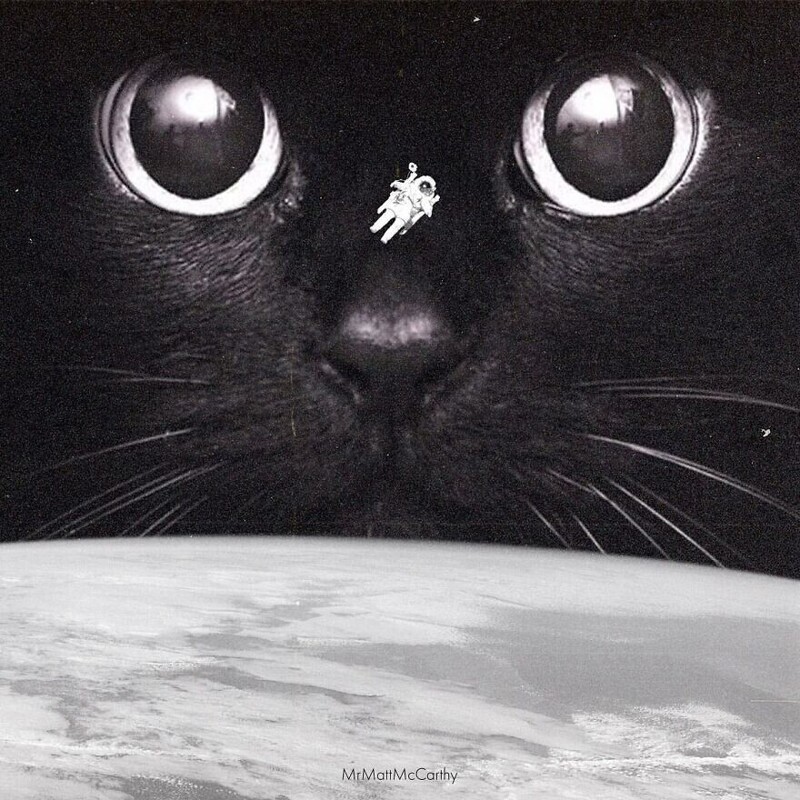 Фотография: Мастер фотошопа показал, каким станет мир, если его захватят коты №16 - BigPicture.ru