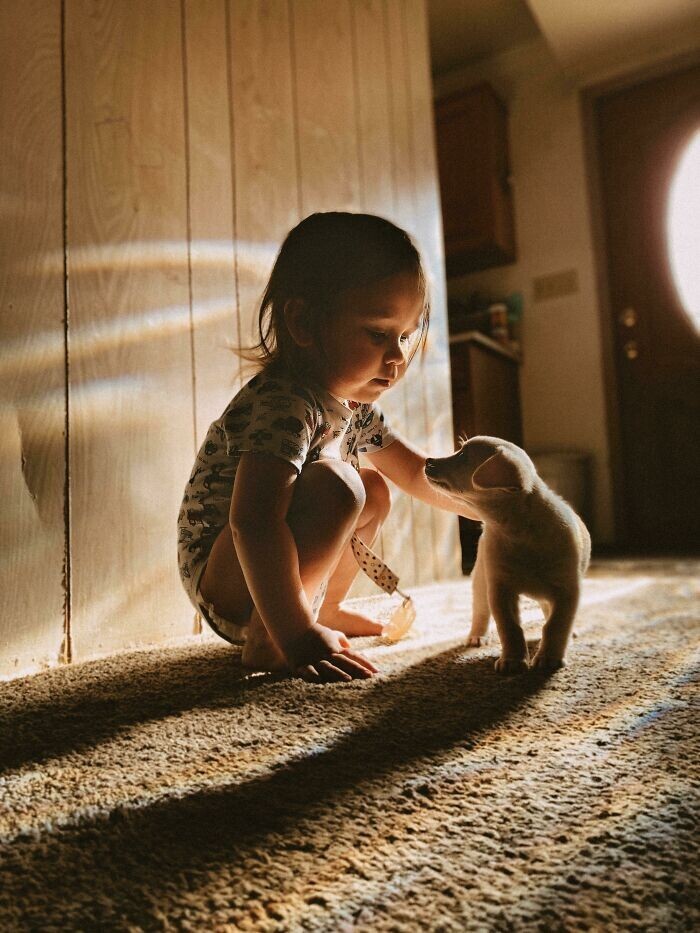 Фотография: 35 трогательных доказательств того, что собака — лучший друг для ребенка №24 - BigPicture.ru
