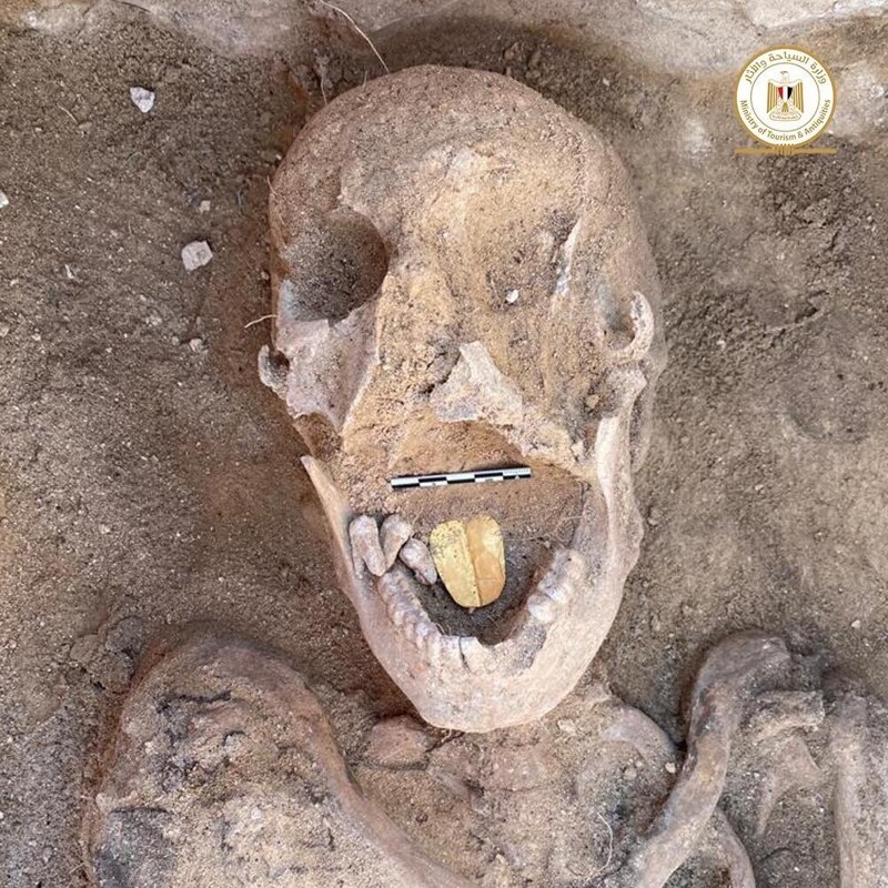 Фотография: В Египте откопали древнюю мумию с золотым языком №3 - BigPicture.ru