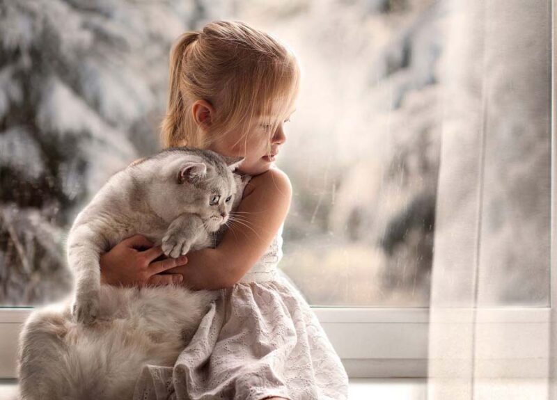 Фотография: 7 верных способов настроить против себя любую кошку №3 - BigPicture.ru