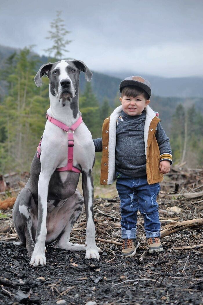 Фотография: 35 трогательных доказательств того, что собака — лучший друг для ребенка №32 - BigPicture.ru