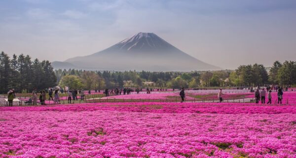 15 самых красивых мест Японии