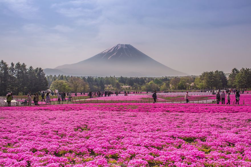 15 самых красивых мест Японии