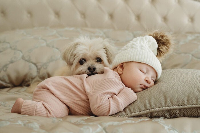 Фотография: 35 трогательных доказательств того, что собака — лучший друг для ребенка №14 - BigPicture.ru