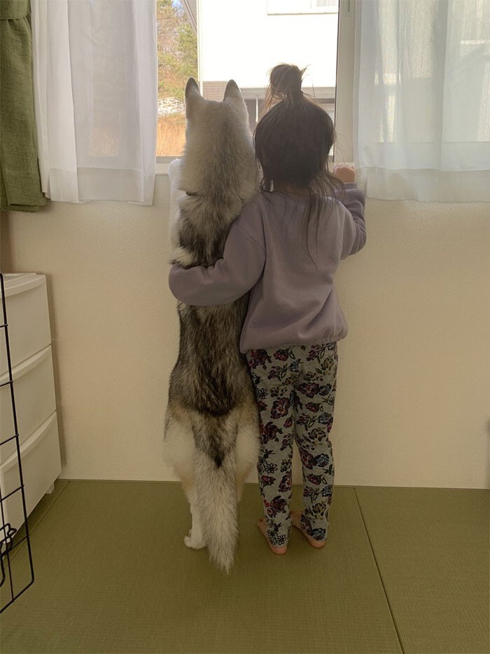 Фотография: 35 трогательных доказательств того, что собака — лучший друг для ребенка №18 - BigPicture.ru