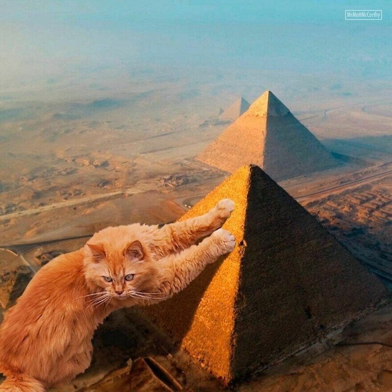 Фотография: Мастер фотошопа показал, каким станет мир, если его захватят коты №14 - BigPicture.ru