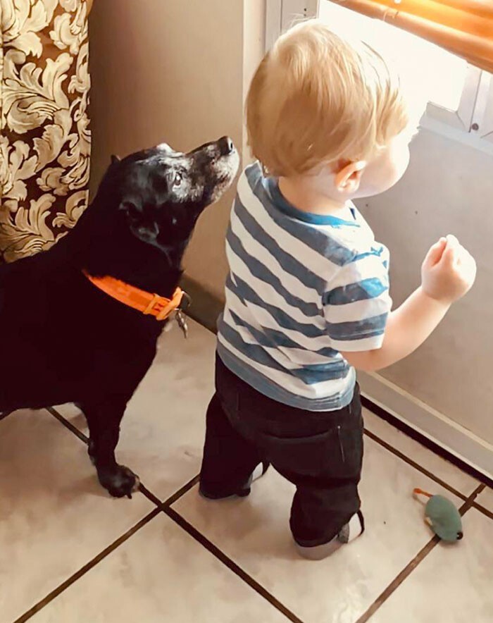 Фотография: 35 трогательных доказательств того, что собака — лучший друг для ребенка №9 - BigPicture.ru