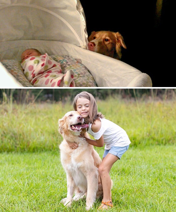 Фотография: 35 трогательных доказательств того, что собака — лучший друг для ребенка №19 - BigPicture.ru