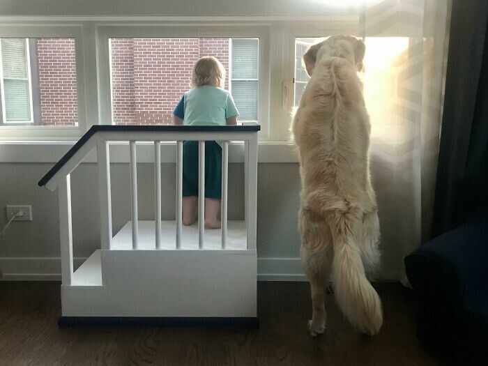 Фотография: 35 трогательных доказательств того, что собака — лучший друг для ребенка №26 - BigPicture.ru