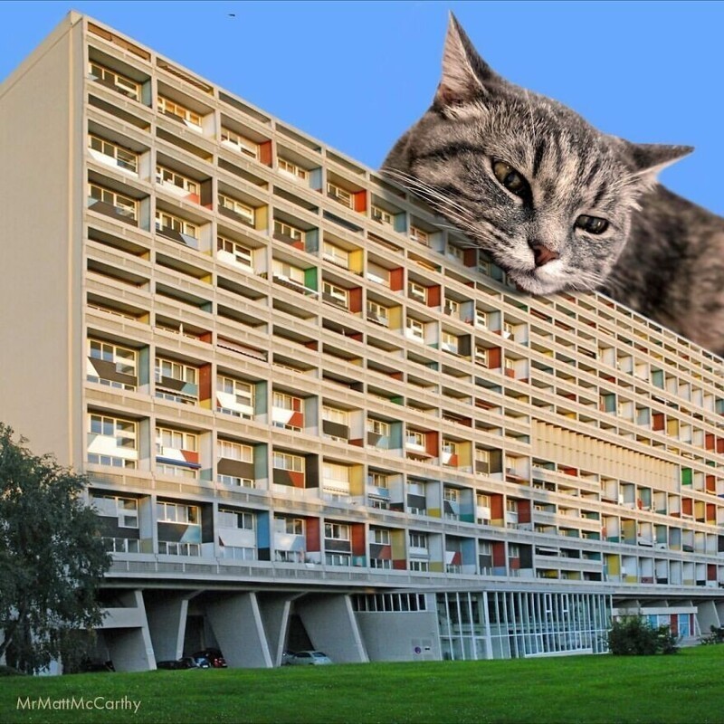 Фотография: Мастер фотошопа показал, каким станет мир, если его захватят коты №7 - BigPicture.ru