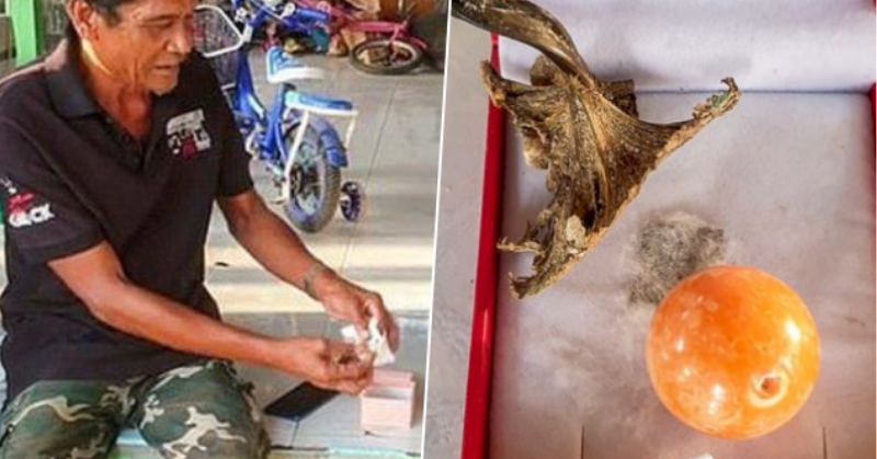 В Таиланде рыбак нашел редкую оранжевую жемчужину, но она принесла ему несчастье