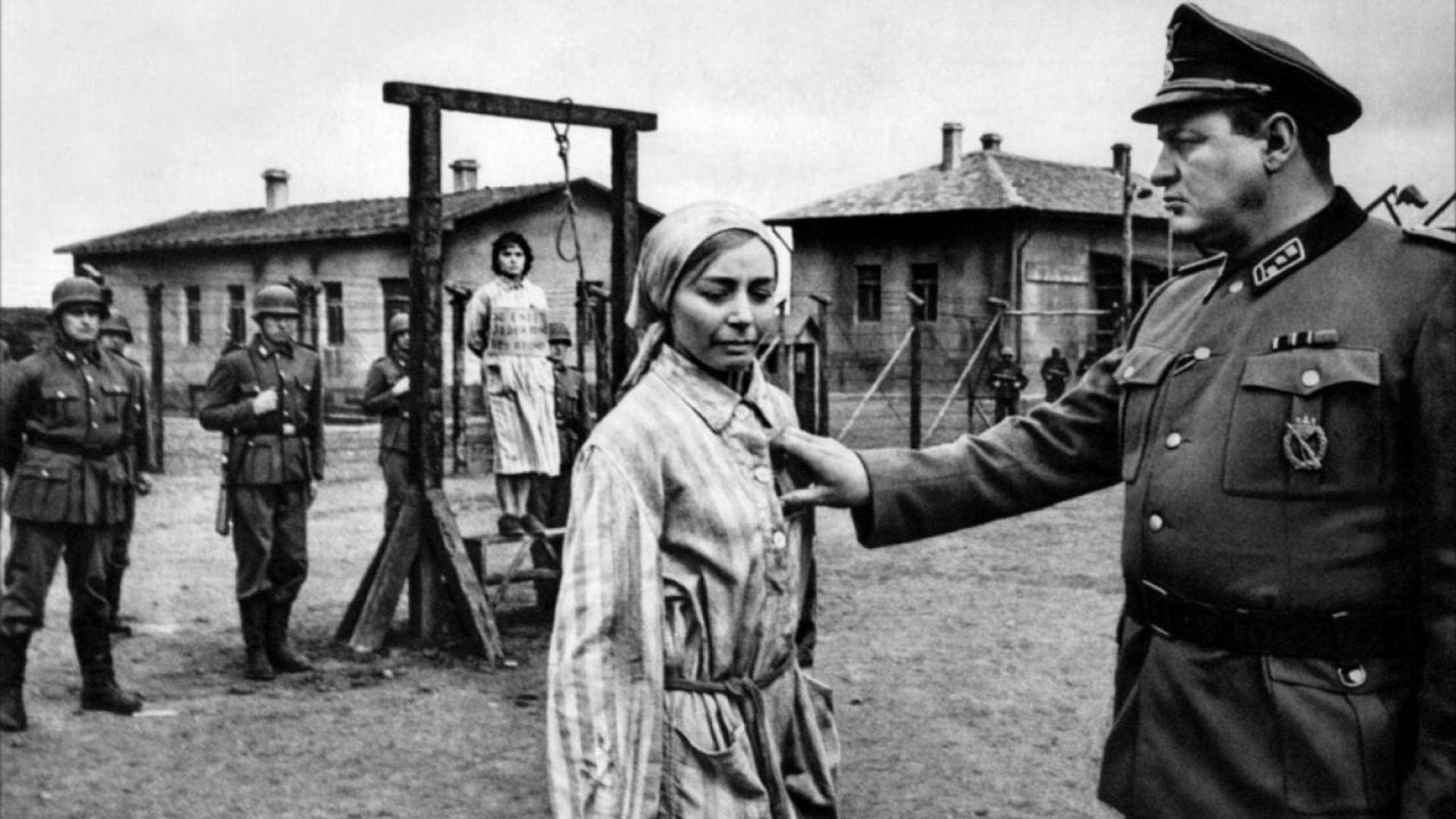 Фотографии пленных женщин 1941 1945