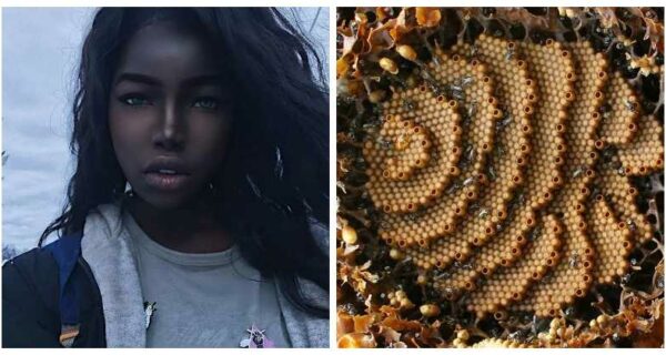 Мир все еще может нас удивить: 22 фото, которые не оставят вас равнодушными