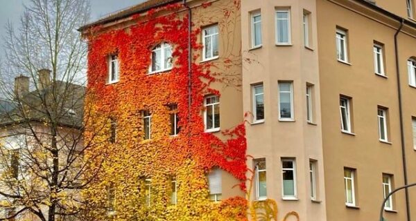 22 идеальных фото для максимального визуального наслаждения