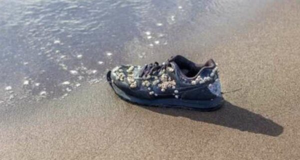 Почему на пляже в Канаде находят кроссовки с оторванными ступнями