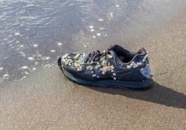 Почему на пляже в Канаде находят кроссовки с оторванными ступнями