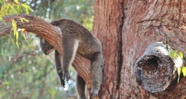 20+ любопытных фактов из истории, которые покажут мир с другой стороны