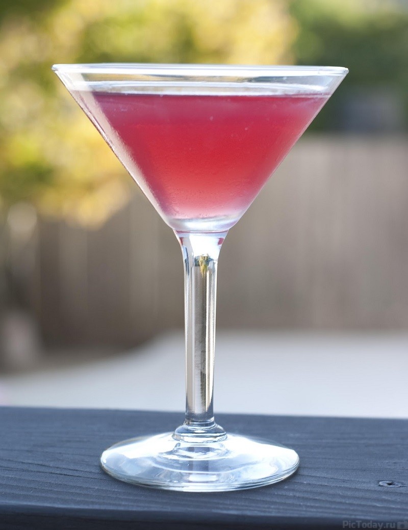 рецепты коктейлей из Martini