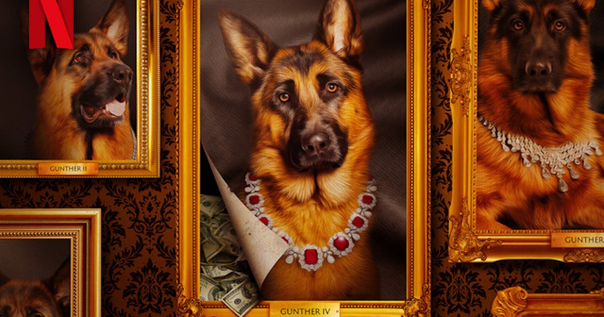 Bigpicture.ru История Гюнтера VI - самого богатого пса на планетеgroup