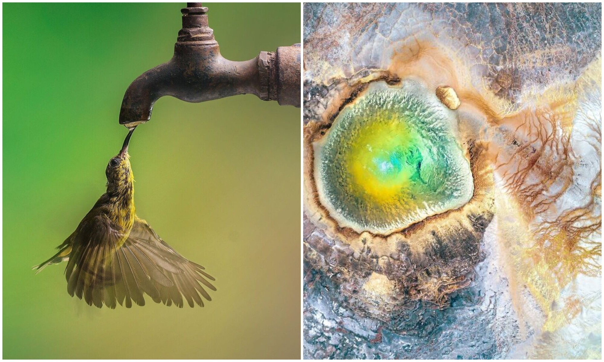 Фотография: 30 потрясающих снимков, которые показывают великолепие нашей природы №1 - BigPicture.ru