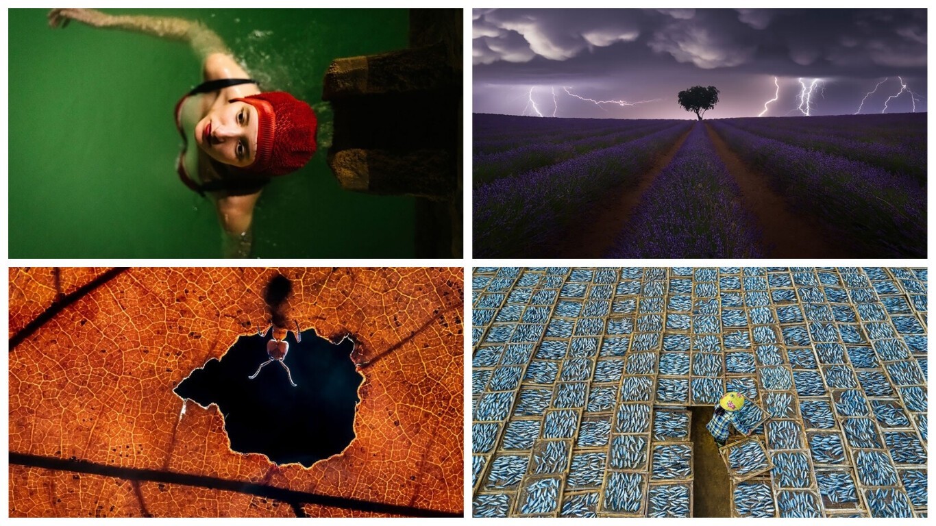 25 впечатляющих кадров от финалистов конкурса Sony World Photography Awards