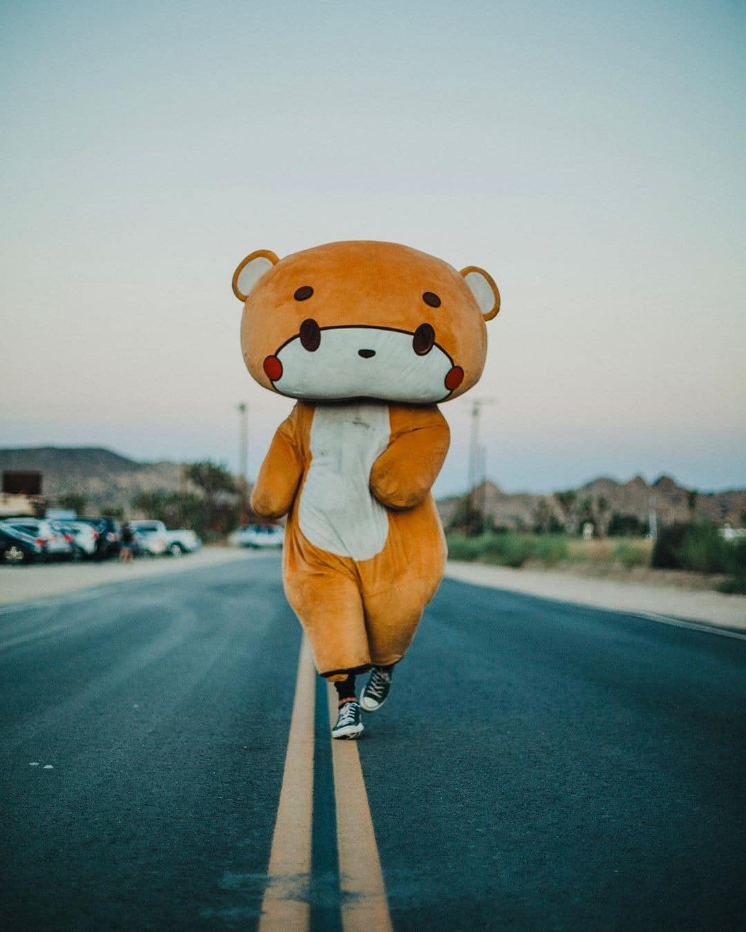 Фотография: Шагающий медведь: парень прошел 770 км из Лос-Анджелеса в Сан-Франциско №2 - BigPicture.ru