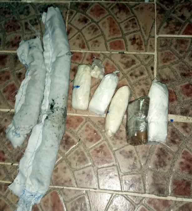 Фотография: В панамской тюрьме поймали наркокурьера с лапками №3 - BigPicture.ru