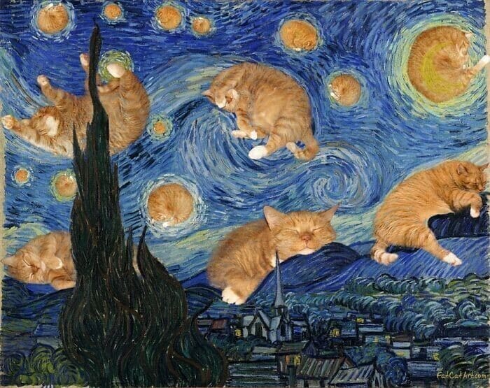 Фотография: Заратустра – питерский кот, который стал частью шедевров мирового искусства №2 - BigPicture.ru