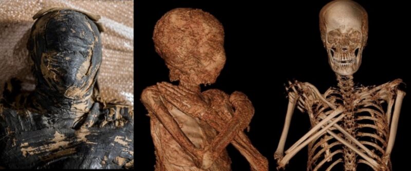 Фотография: Уникальная находка: египетская мумия оказалась беременной №6 - BigPicture.ru