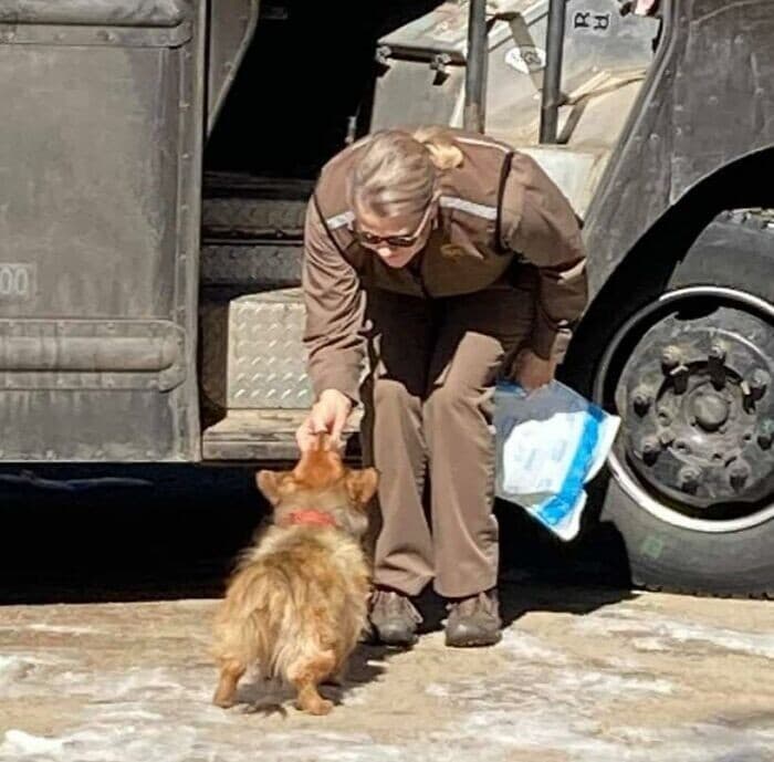 Фотография: 30 милых фото о любви собак к курьерам №29 - BigPicture.ru