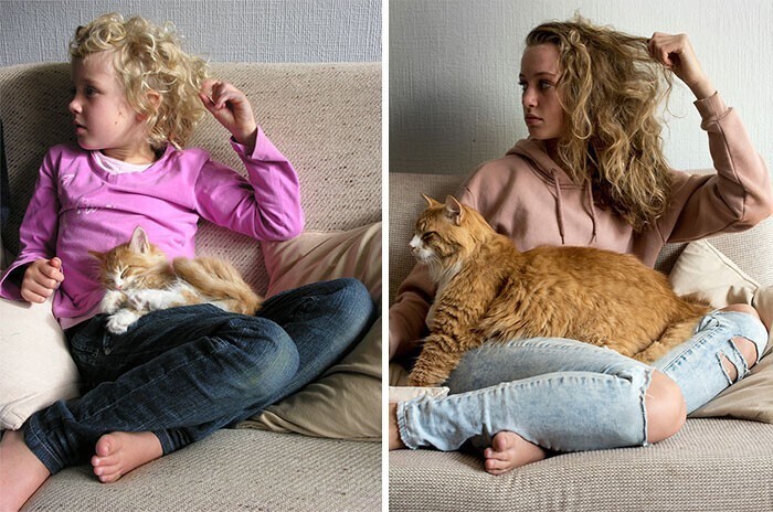 Фотография: 20+ трогательных фото о том, как быстро растут наши любимые котейки №23 - BigPicture.ru