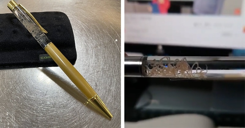 Фотография: Японцы создали шариковую ручку, внутри которой плавает живой паразит №1 - BigPicture.ru
