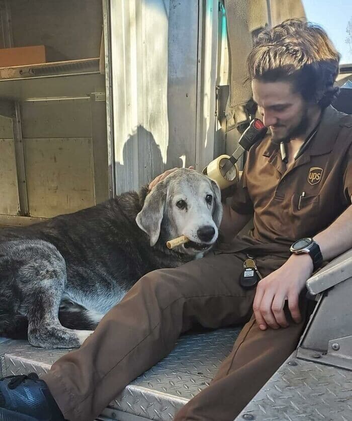 Фотография: 30 милых фото о любви собак к курьерам №14 - BigPicture.ru