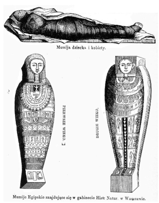 Фотография: Уникальная находка: египетская мумия оказалась беременной №3 - BigPicture.ru