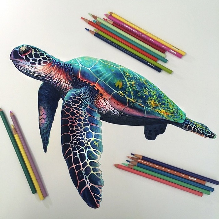 Фотография: Гиперреалистические рисунки Морган Дэвидсон цветными карандашами №9 - BigPicture.ru
