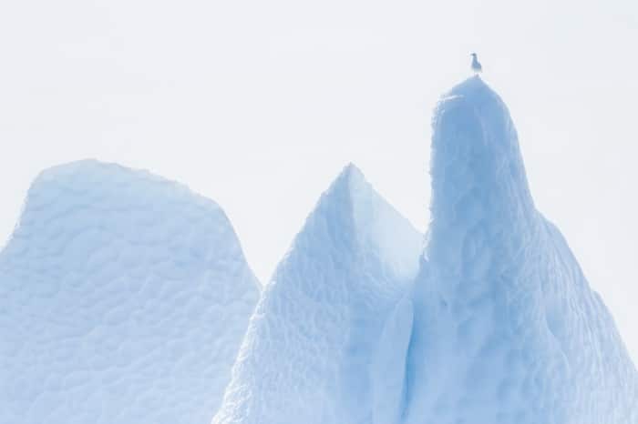 Фотография: Ледники и тишина: исчезающая красота Гренландии в объективе Альберта Дроса №8 - BigPicture.ru